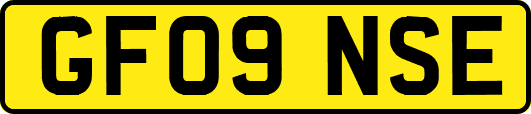 GF09NSE
