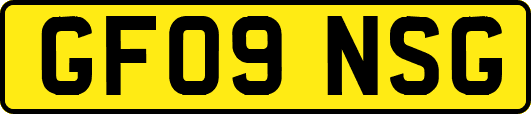 GF09NSG