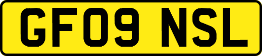 GF09NSL