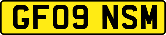 GF09NSM