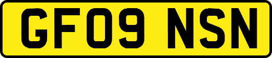 GF09NSN