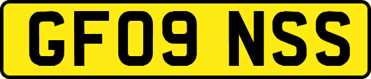 GF09NSS