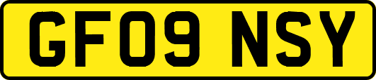 GF09NSY