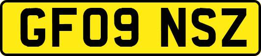 GF09NSZ