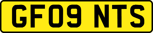 GF09NTS