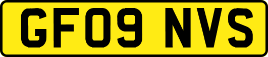 GF09NVS