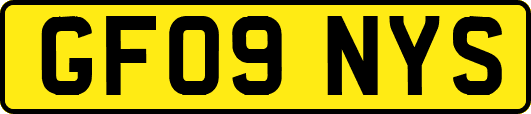 GF09NYS