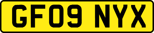 GF09NYX