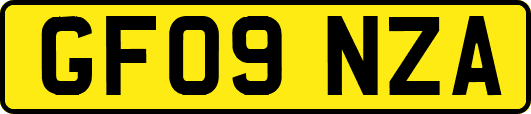 GF09NZA