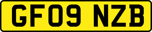 GF09NZB