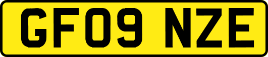 GF09NZE