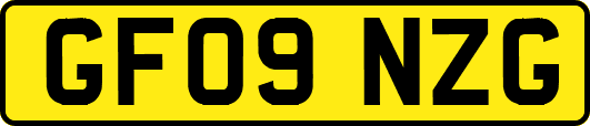 GF09NZG