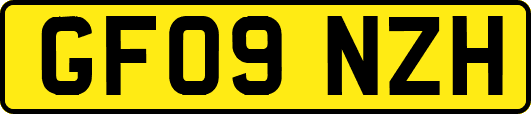 GF09NZH