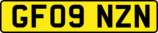 GF09NZN