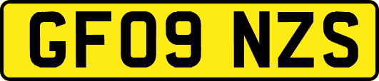 GF09NZS