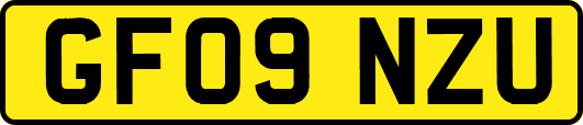 GF09NZU