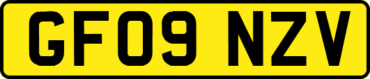 GF09NZV