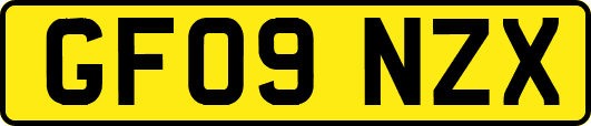 GF09NZX