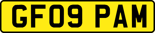 GF09PAM