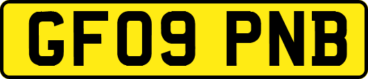 GF09PNB
