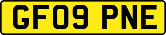 GF09PNE