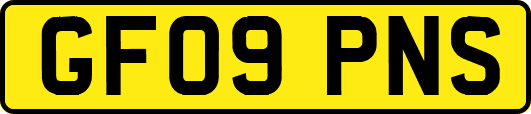 GF09PNS