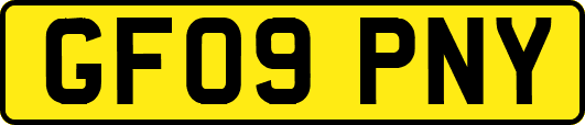 GF09PNY