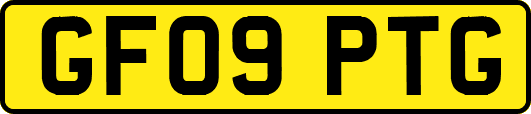 GF09PTG