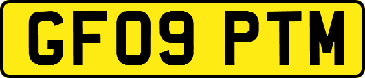 GF09PTM