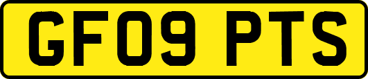 GF09PTS