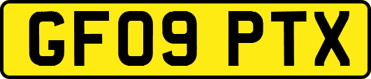 GF09PTX