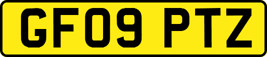 GF09PTZ