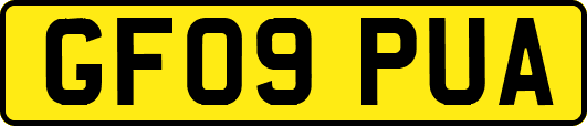 GF09PUA