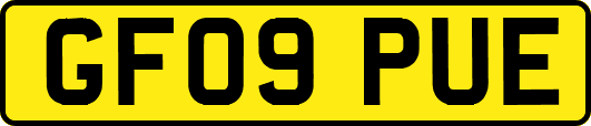 GF09PUE