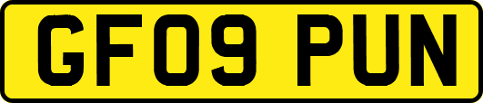 GF09PUN