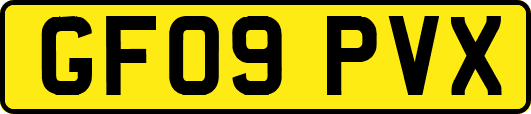 GF09PVX