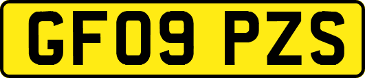 GF09PZS