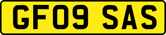 GF09SAS