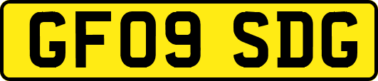 GF09SDG