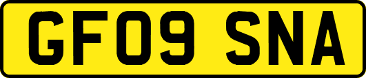 GF09SNA