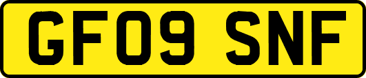 GF09SNF