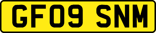 GF09SNM