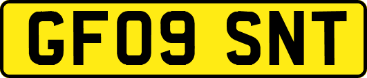 GF09SNT