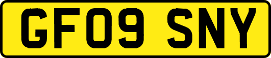 GF09SNY