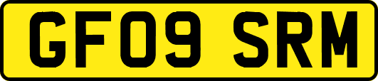 GF09SRM