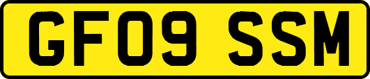 GF09SSM