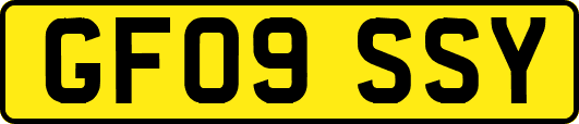 GF09SSY