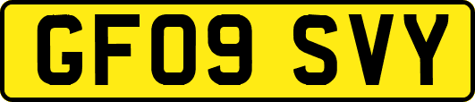 GF09SVY
