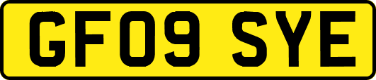GF09SYE