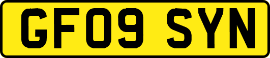 GF09SYN